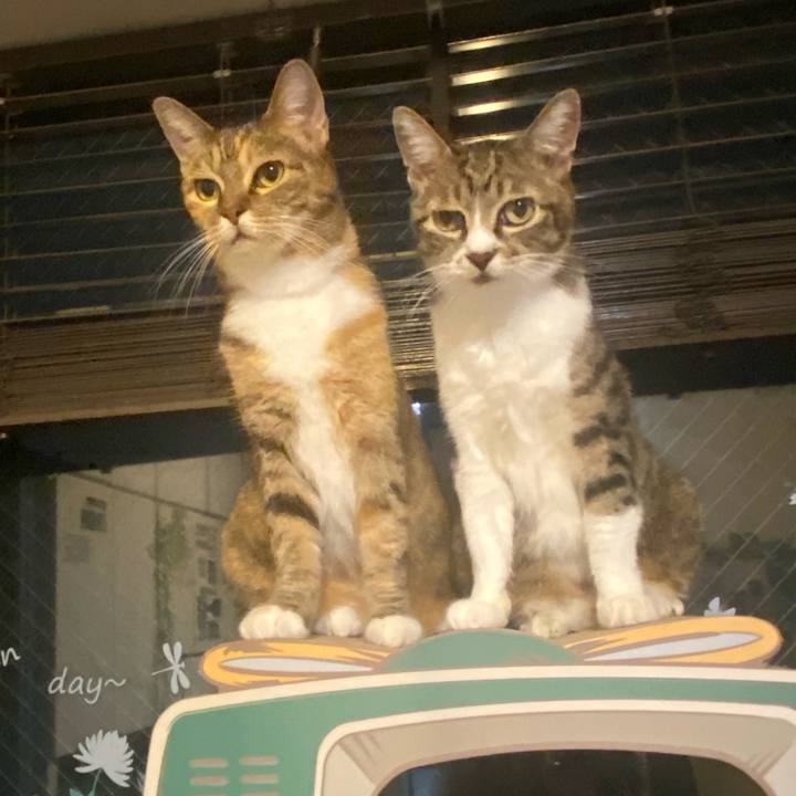 E11c03f8 de0c 404a be61 664499b87644 1631372432804