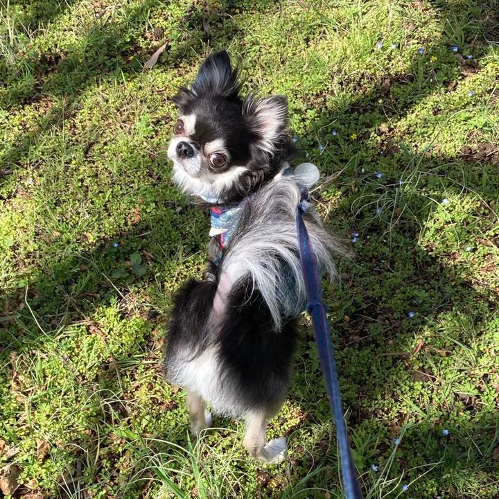 E11c11e2 8f10 498b bdf3 6f39d943195c 1711798345908