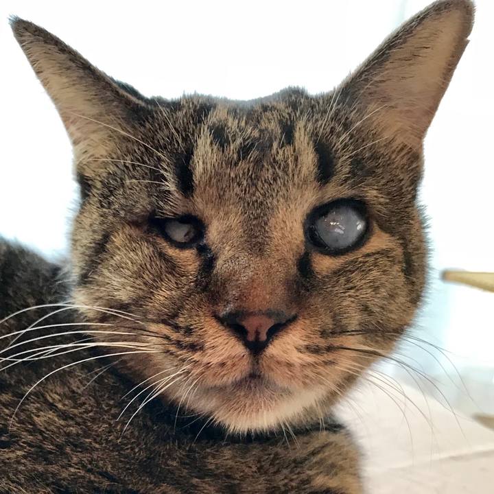 E11c37e6 b1e5 4f28 adb9 f2bb68c13cf1 1539067300312