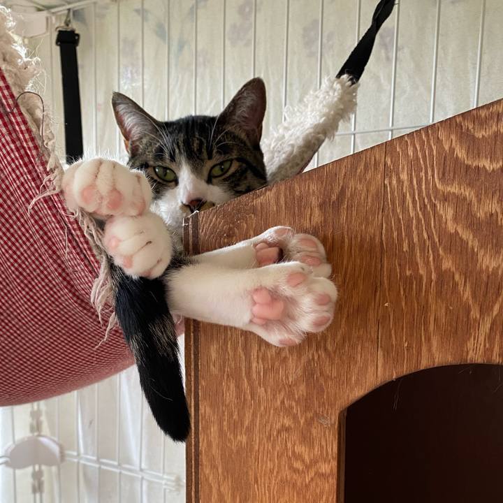 E11c4b26 1c7b 4c67 b328 56d8e10d26ee 1716363764733