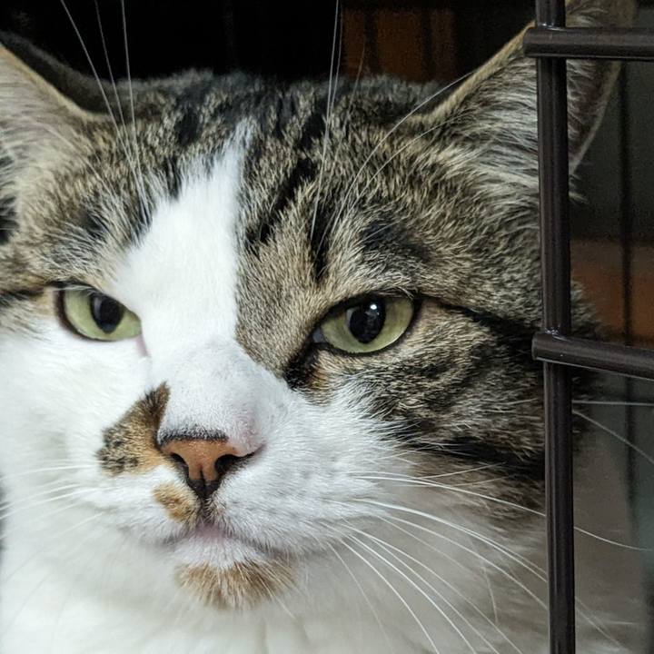 E11c5a04 5745 442a 845c 9c0d0c94f95d 1715256747588