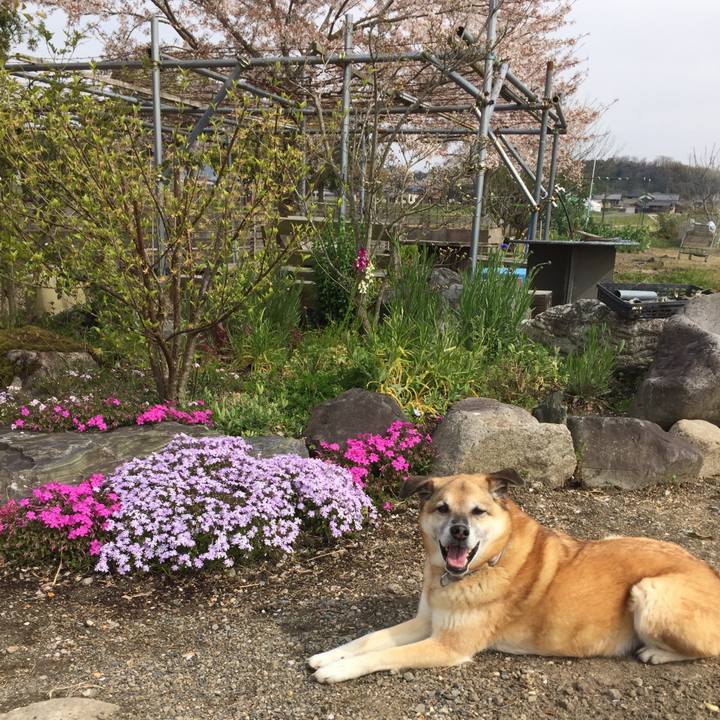 E11c6321 ebaa 47d1 9152 c802bbdb4263 1586932478652