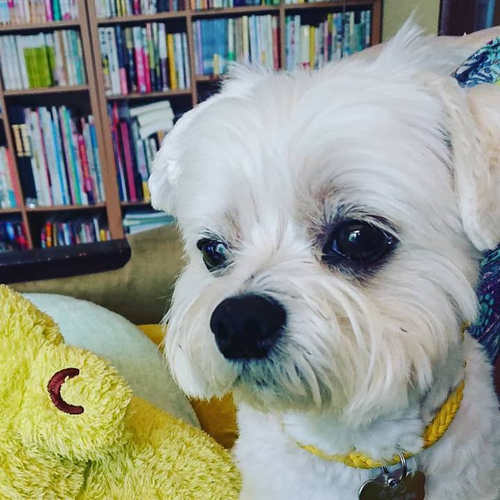 E11c79f3 ec82 476f 949a 24ab6744e3c5 1621856219675