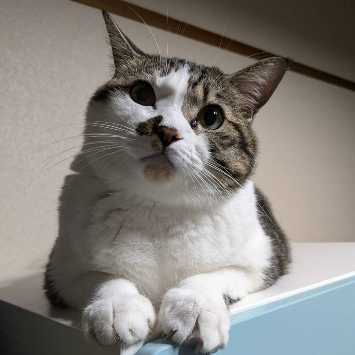 E11c7f3d 7c80 43c4 8c9a 7b33bd297697 1732191201025