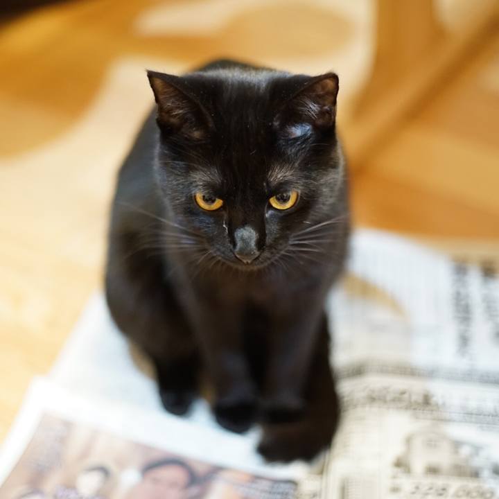 E11c830d 4ed7 44fc 82b8 99765ff838f5 1520429721254