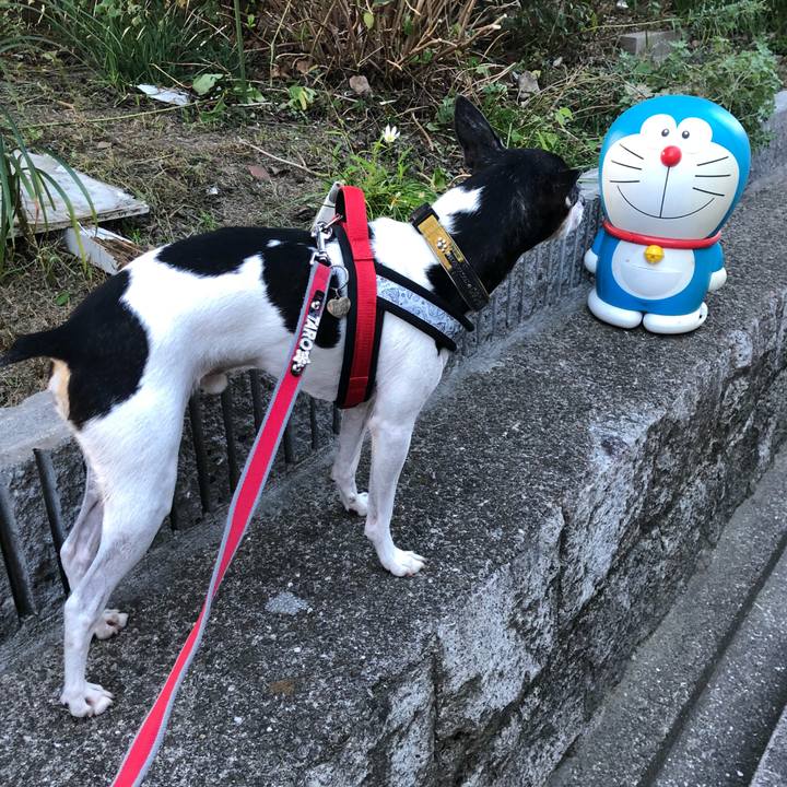 E11c9598 b76a 4145 8b52 38b51df71a69 1540022452026