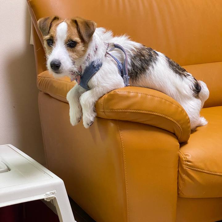 E11cd68f cff7 4b74 a217 be7ba182a6ba 1626961993222