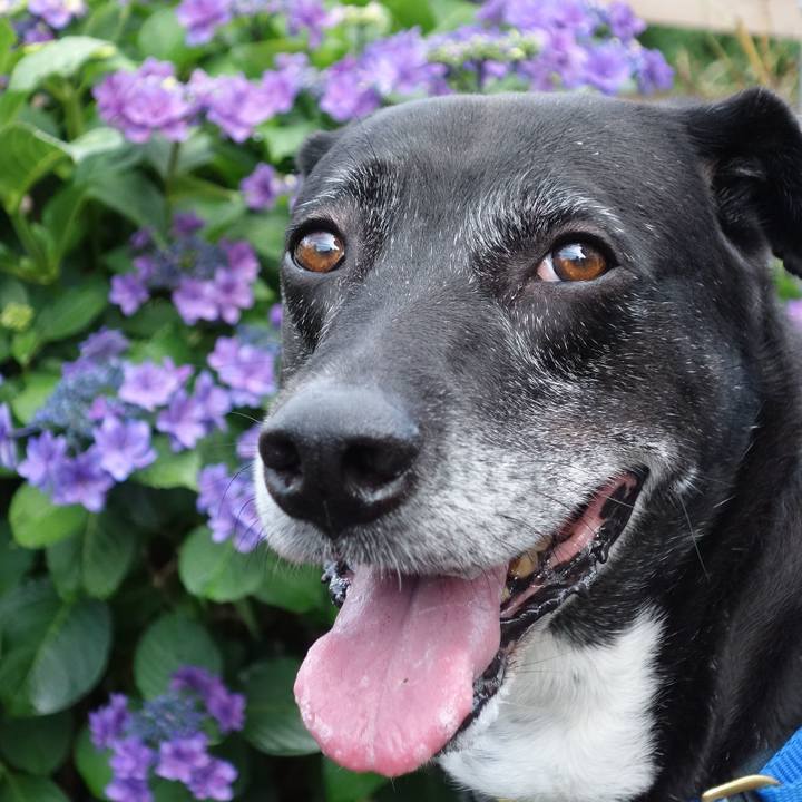 E11ce541 f3d3 4805 9a87 ce662467b834 1749690625320