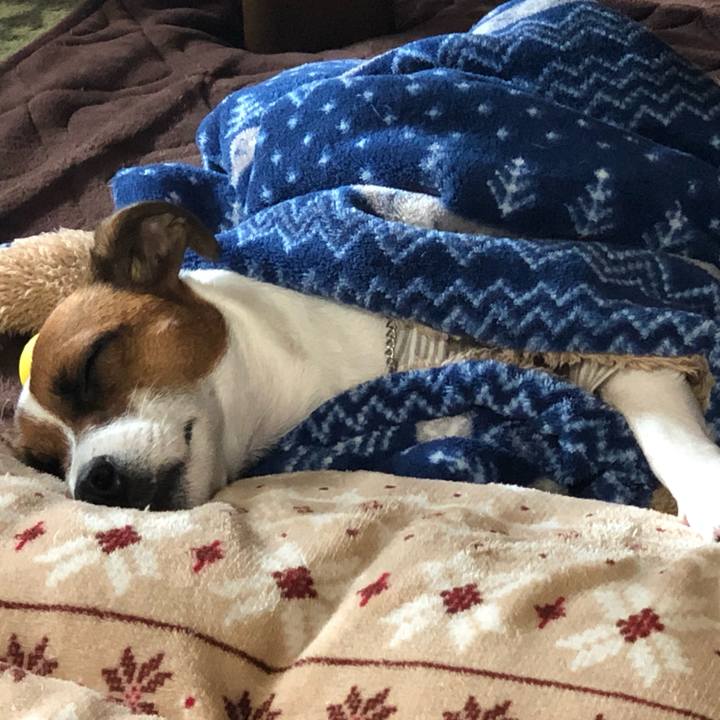 E11d1fdf 7f53 484e b52d d0ec4daf2061 1571015674693