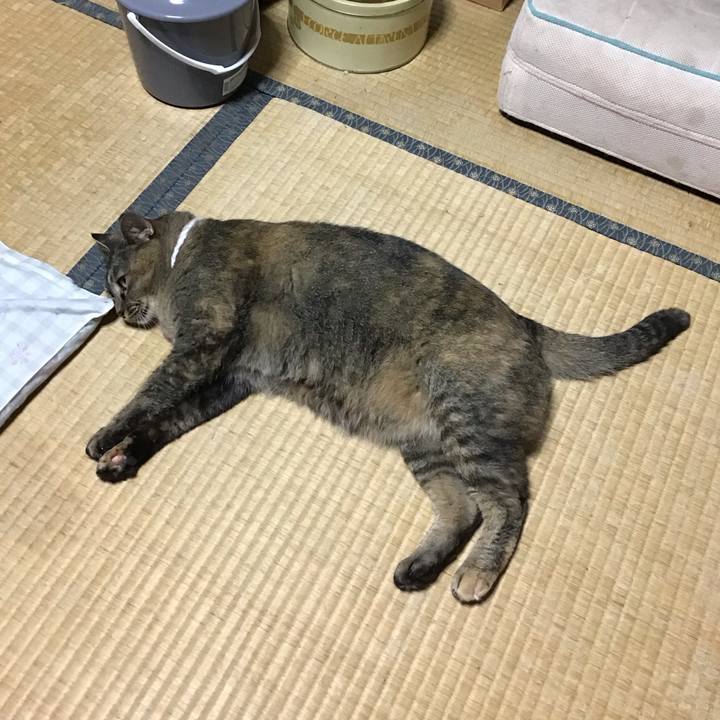 E11dcef3 e8af 4a3c b8b7 d87e1c0f3fa4 1724835373171