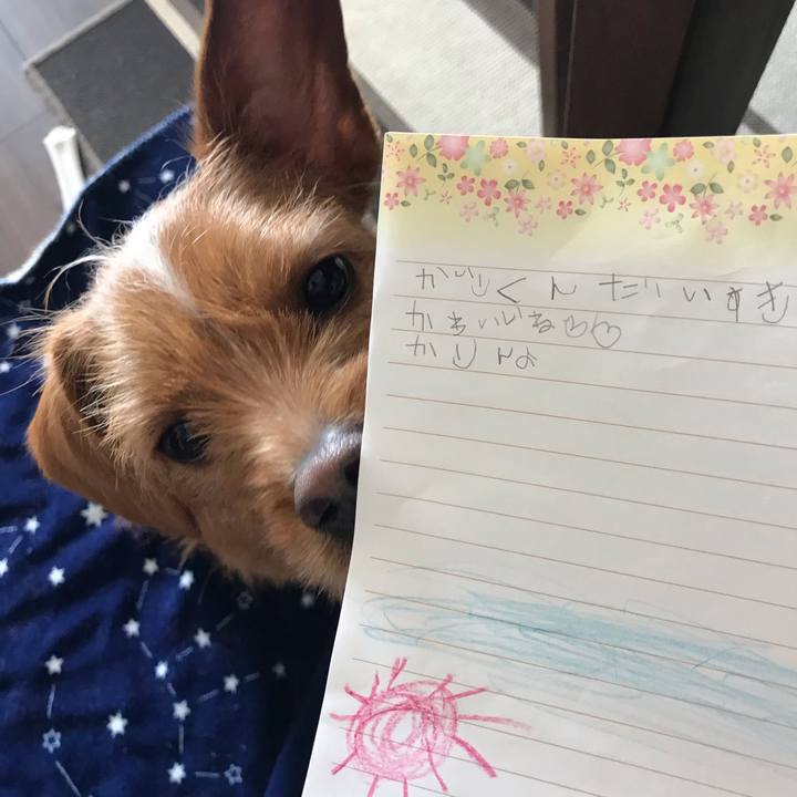 E11df7d9 908a 4e25 a5b9 5e2e88e320b4 1549077147173