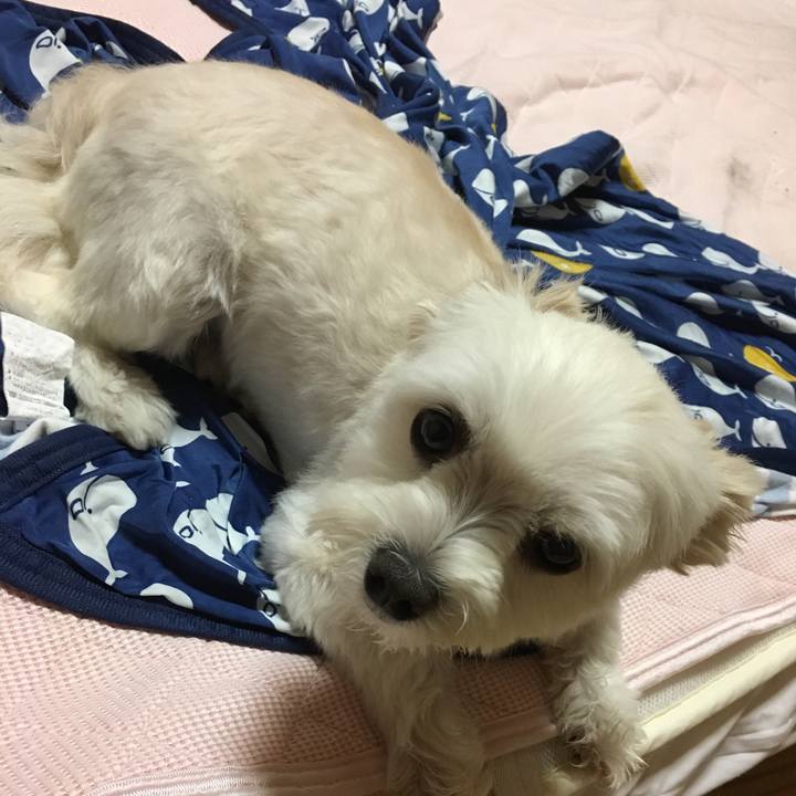 E11e6924 1e01 42af 82ef 7e33fbf1ea37 1565694021984