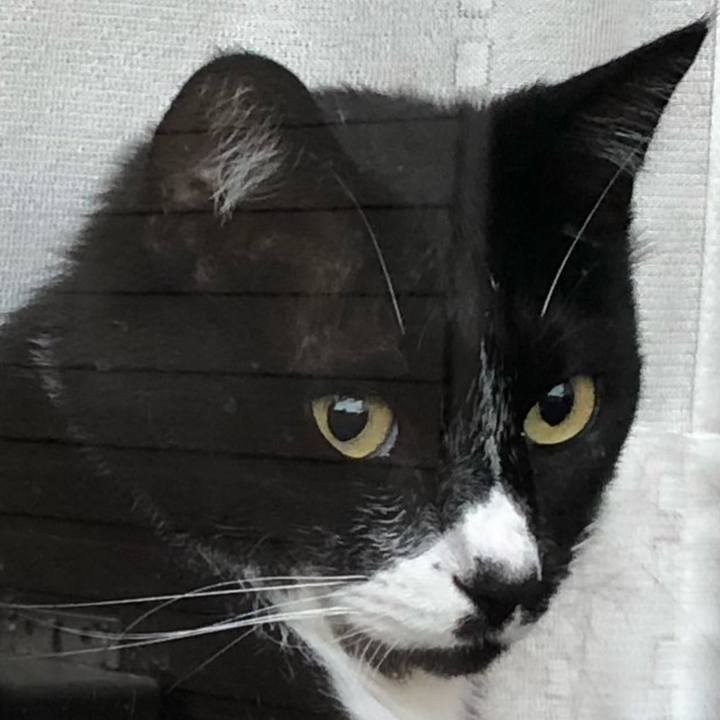 E11e7765 3a1f 4927 8a77 feb92b60ba40 1661078588323