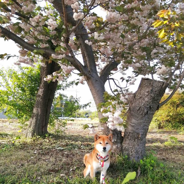 E11e8b61 f15b 44b2 831e c4f02d387ead 1650617110156