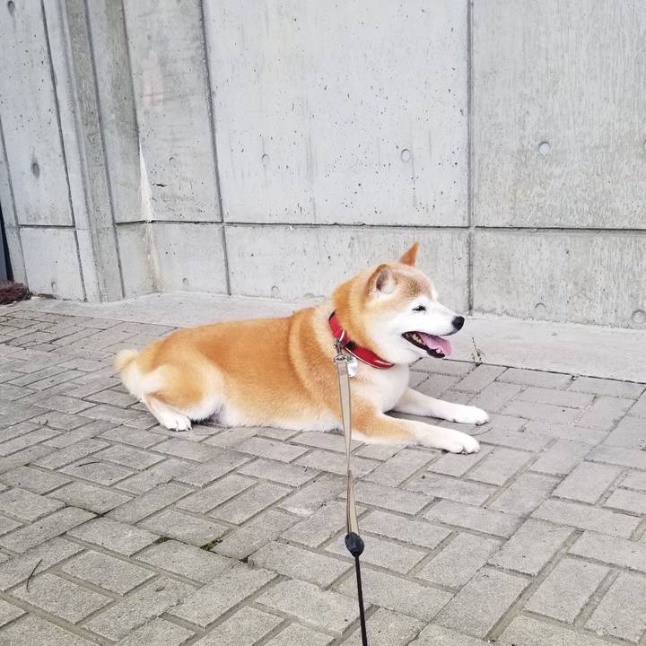 E11eac36 a0f8 4313 8352 28ec363cd964 1721101326935