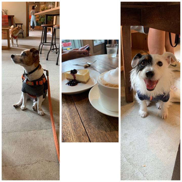 E11eaddb 836f 4a58 88aa 8bb8969c4719 1600502577249