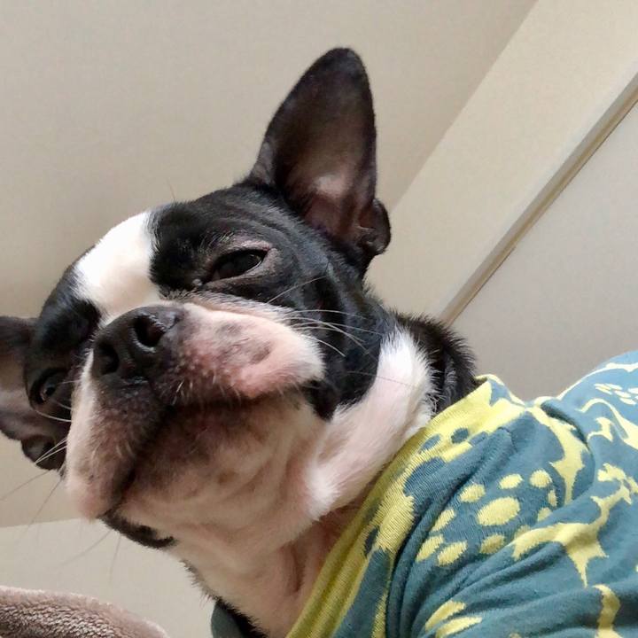 E11ec828 3482 4dea 896e 7dff7ce8e0c9 1517033804955