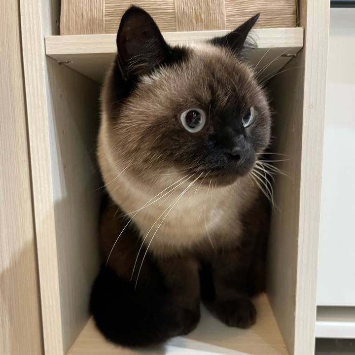 E11ecaa9 4430 4b42 80f9 dff15eea3203 1668935895360