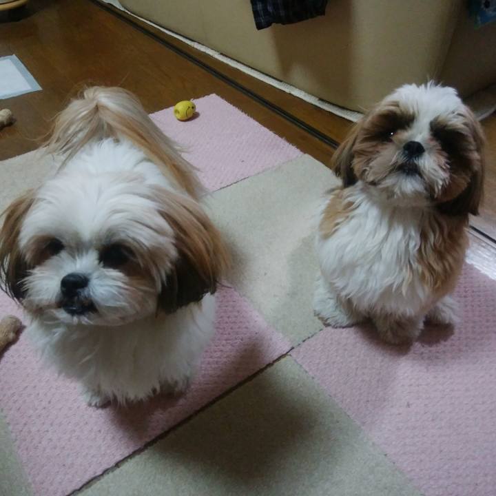 E11ef74e 227a 4b68 954b fe14a23ee4bb 1550226814676