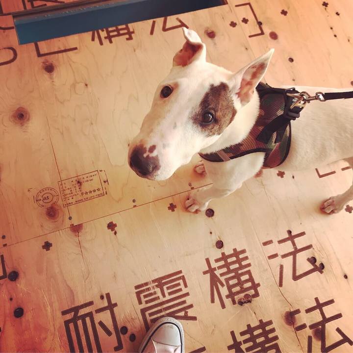 E11f0268 c883 4063 add6 d30322491a8c 1555135451577