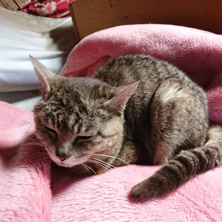 E11f49c5 6186 4927 a22e da507b93dfb7 1561332104870