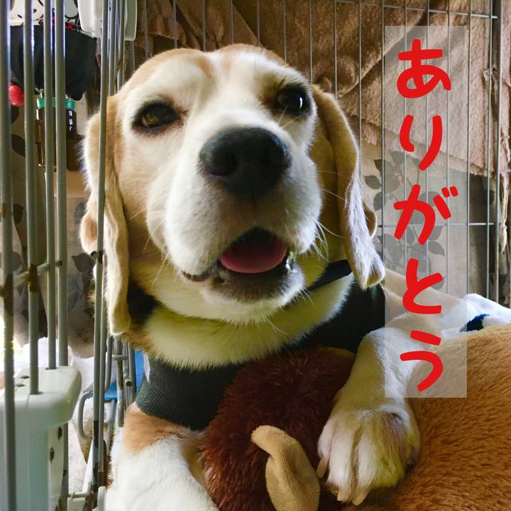 E1200fe5 3cd1 4e69 87ac 2f64178d445c 1570251041177