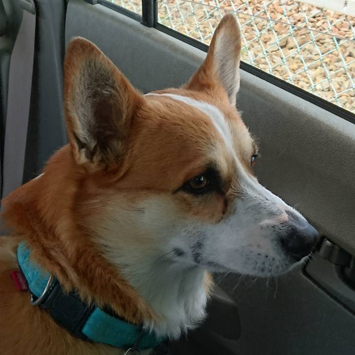 E12024d4 db88 4c47 8db4 4ca4a7c1d5c5 1648782568259