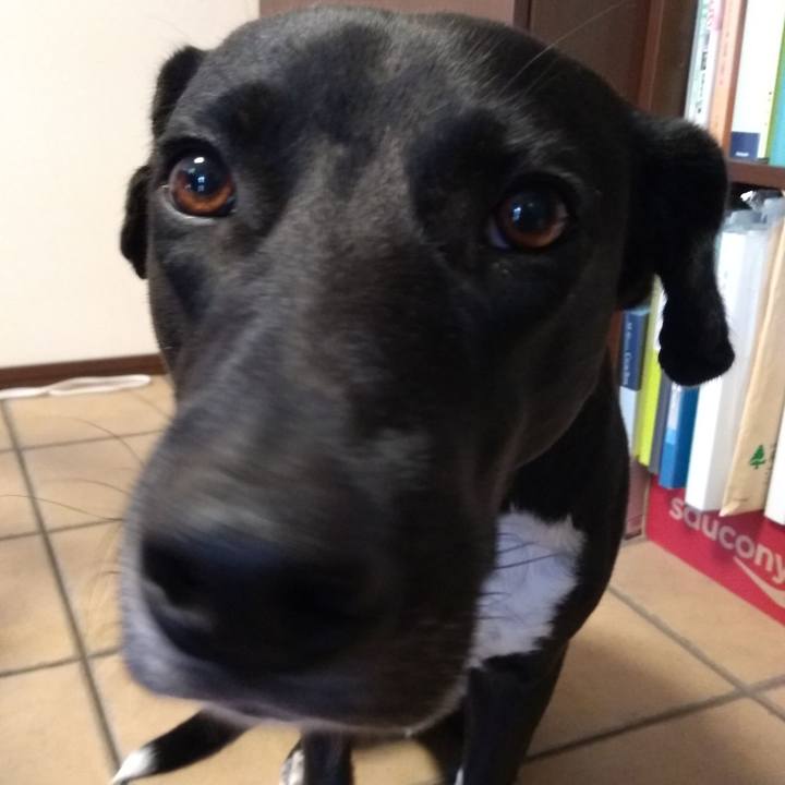 E12051bb fd06 4377 9c56 c7df35928e89 1592525221175