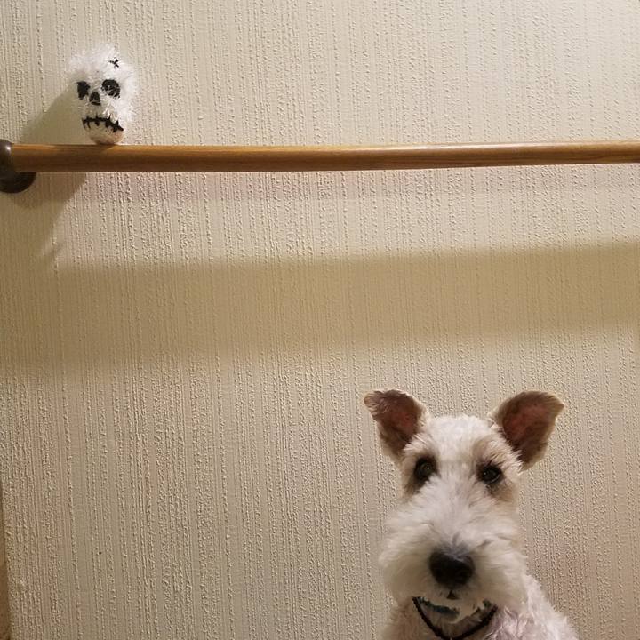 E120577a fc8d 4ee1 a8ba 43fb3bfd0cf4 1572184522892