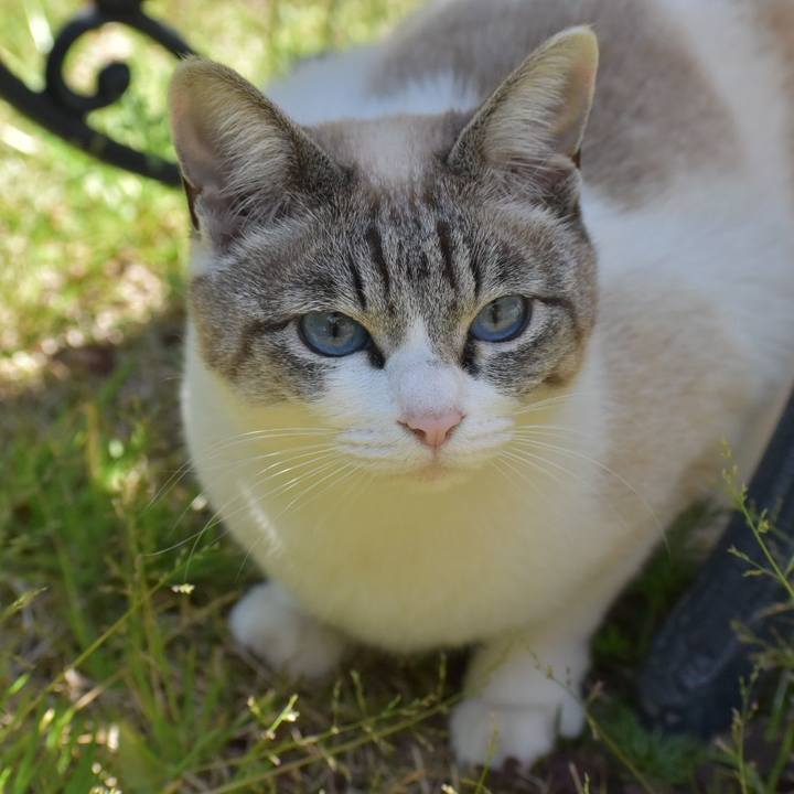 E120744e a762 4454 aad3 0aecff88dbaf 1553395246400