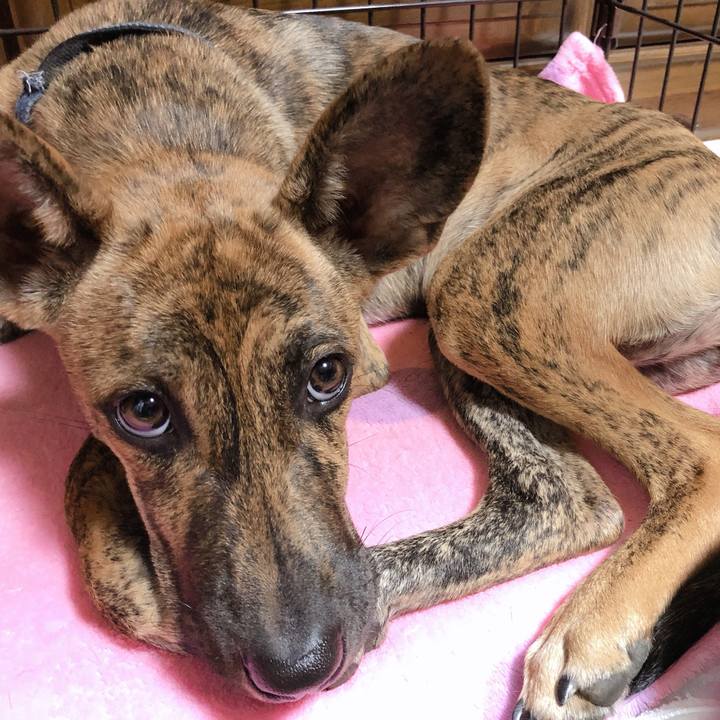 E1208c6a 56b0 4f25 8cf4 83e3c801e7a1 1574337789207