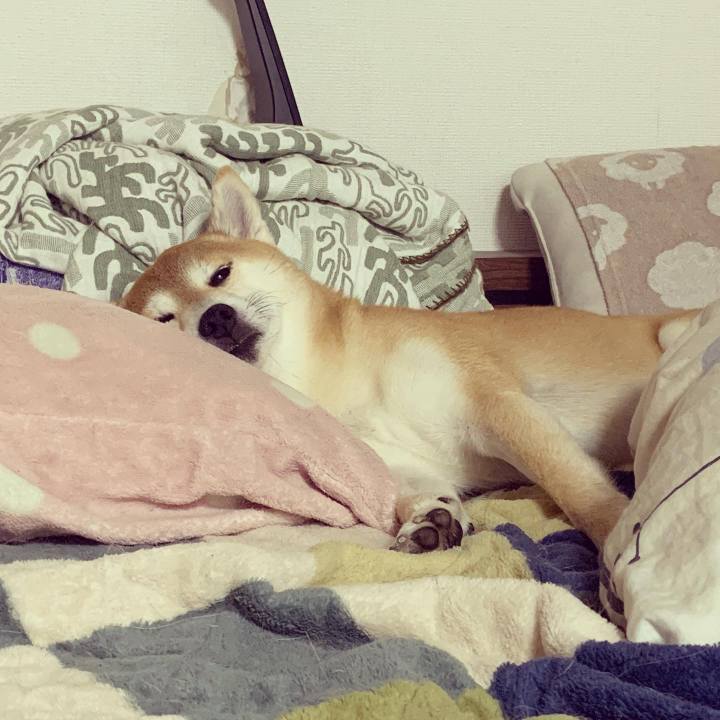 E120bc8b ed28 4b6e 896f fe076c9e888b 1580468139347