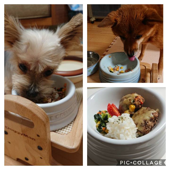 E120df37 45fe 48d7 b2e0 47447929b611 1576974245824