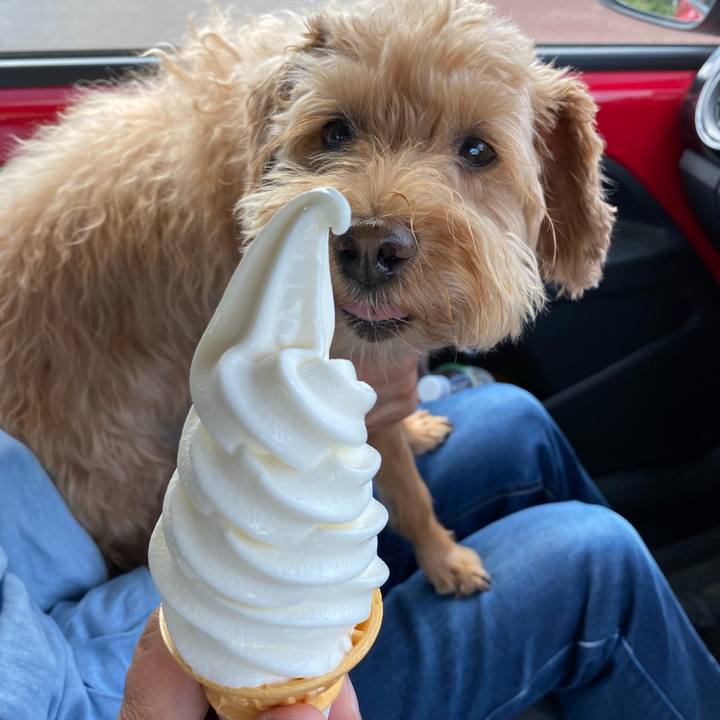 E1211e4d ef11 4357 896e 99b7e85d5573 1631330487368