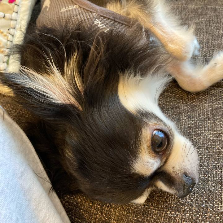 E1212324 c2e8 465f 9c6c 82b13088884b 1713014996704