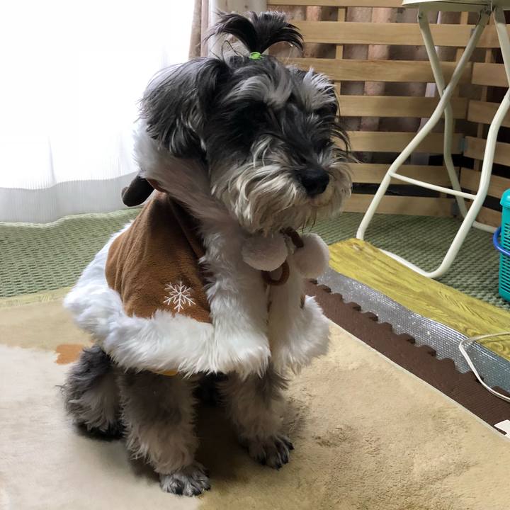 E1214337 4214 4ad3 888f ad82c871d6c2 1514084612052