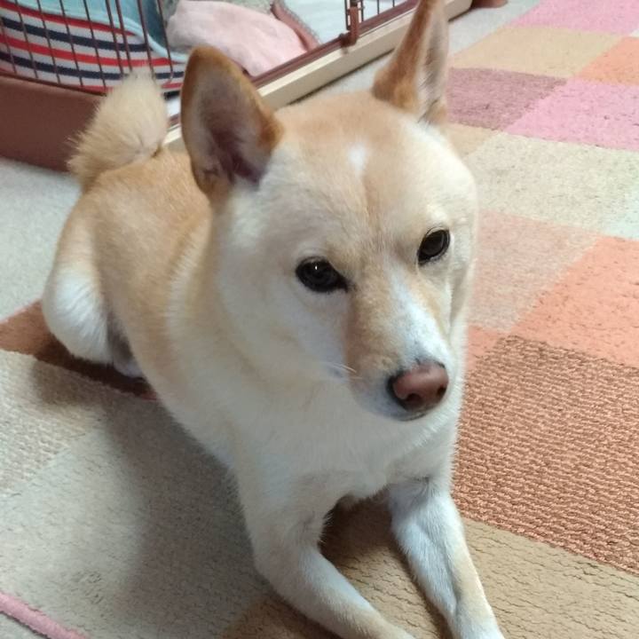 E12160bb 31db 4857 8742 8ad673e89b33 1571916152452