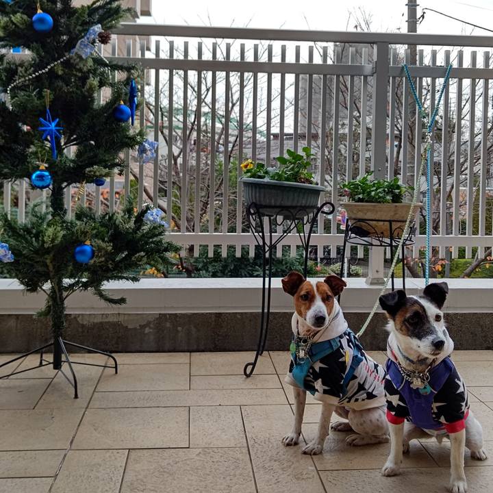 E121a514 ab56 4e9a b60e d05cbcf542d5 1638849168212