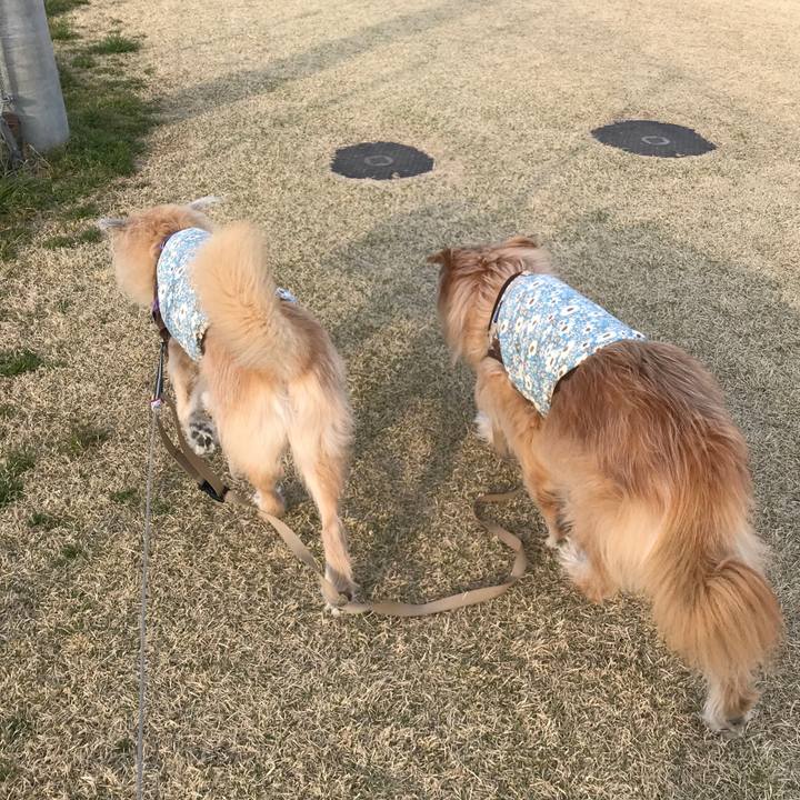 E121a992 0c4d 4785 96d5 666b3c6970e8 1555397895065