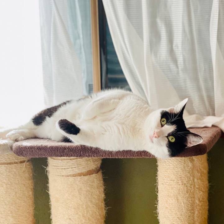 E121ea3a bd1b 42c1 b73b ff49549c8ecf 1608690382113