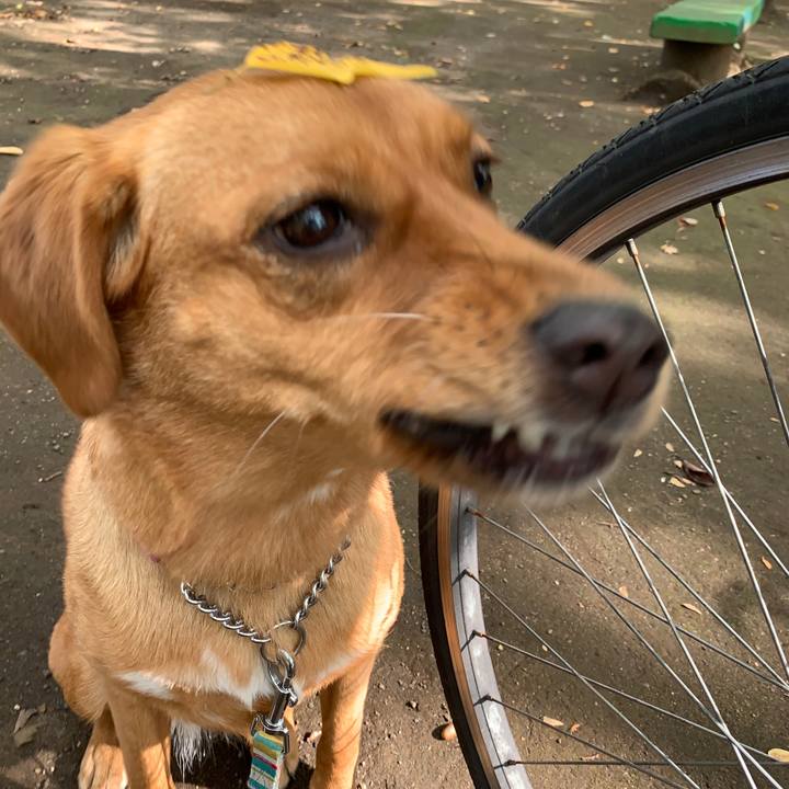 E121ea8e 5190 4fdf b848 f9ece1c9a44f 1573263751889