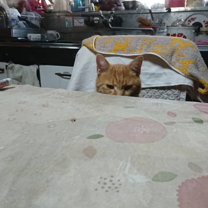 E1223101 20cb 49d5 85b8 bfee0830037a 1604787829411