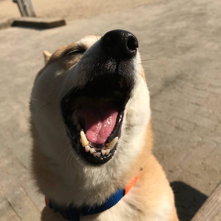 E1223d05 9581 4c84 bdc2 45fc5b67bfe5 1518168633068