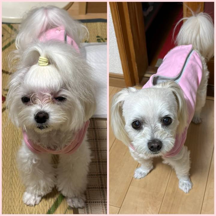 E1224d9d 7bca 42af 9450 7f79cc13fc6d 1760344718100