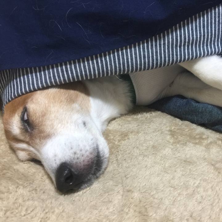 E1225b89 2ab7 43cf a064 ebe88d396e82 1522682068790