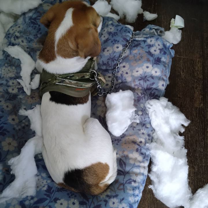 E1226164 d871 4c1f b7a2 4e553ab0c8b9 1671192135104