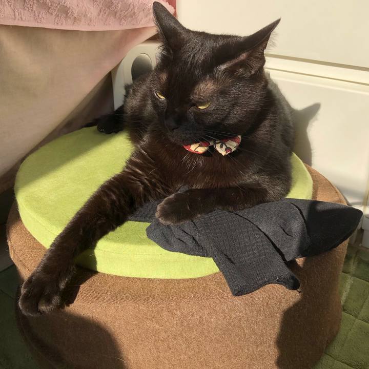 E12282d1 5fce 488d b4b4 5d4fd4a50bc0 1591137894401