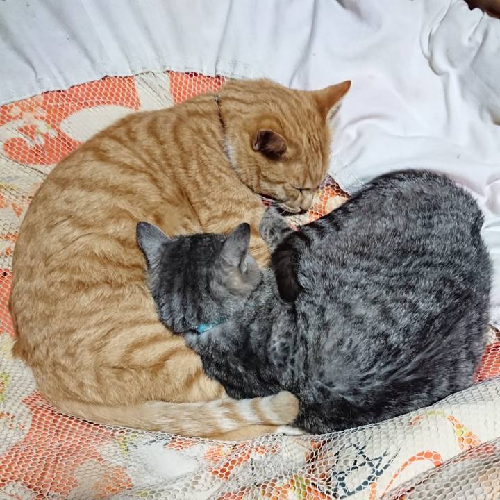 E1228f82 f611 4b34 83e4 f50448e69725 1573566784779