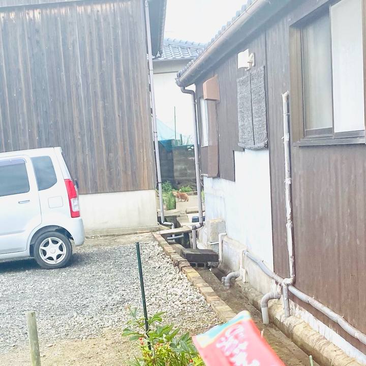 E122946e 2246 4dcb 855e f9d35c7b5476 1685686385841