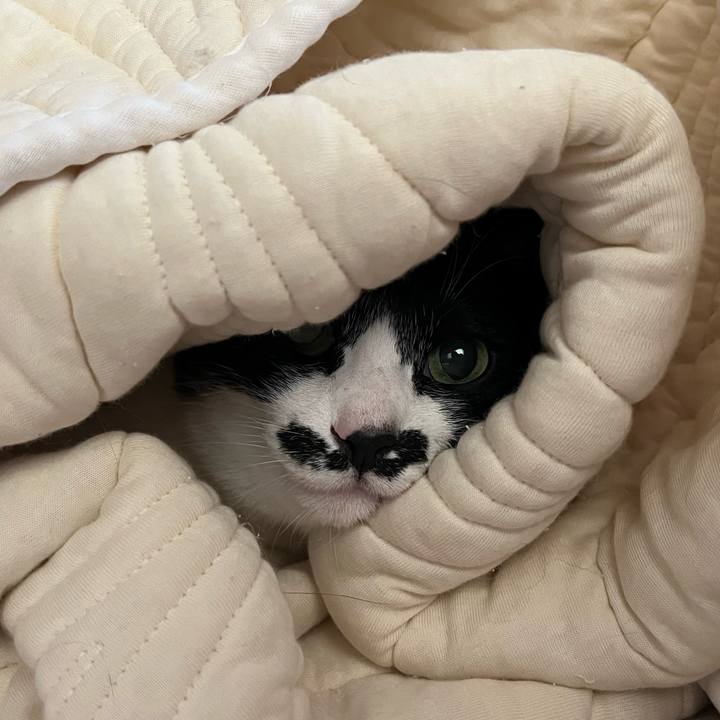 E1230214 195e 4c18 ac8c e4f330581c17 1776292229653